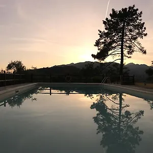  Vakantieboerderij Il Pino