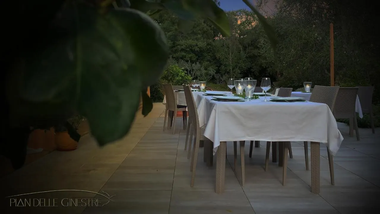 Hotel Glamping Pian delle Ginestre Sassetta