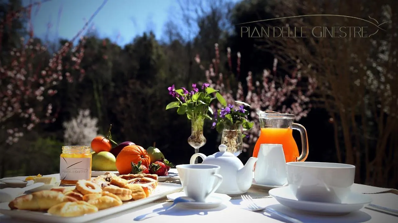 Hotel Glamping Pian delle Ginestre Sassetta